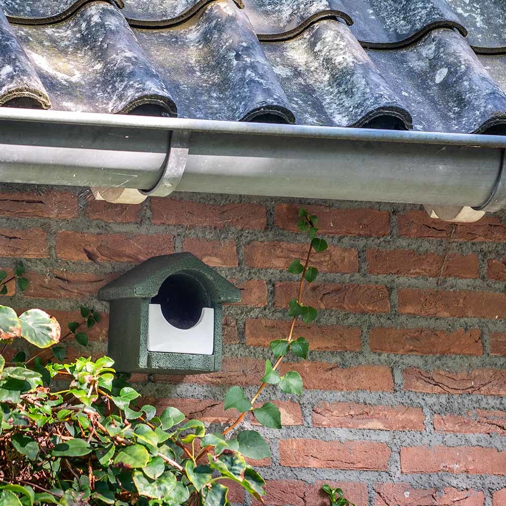 National Trust WoodStone® Green Open Nest Box 