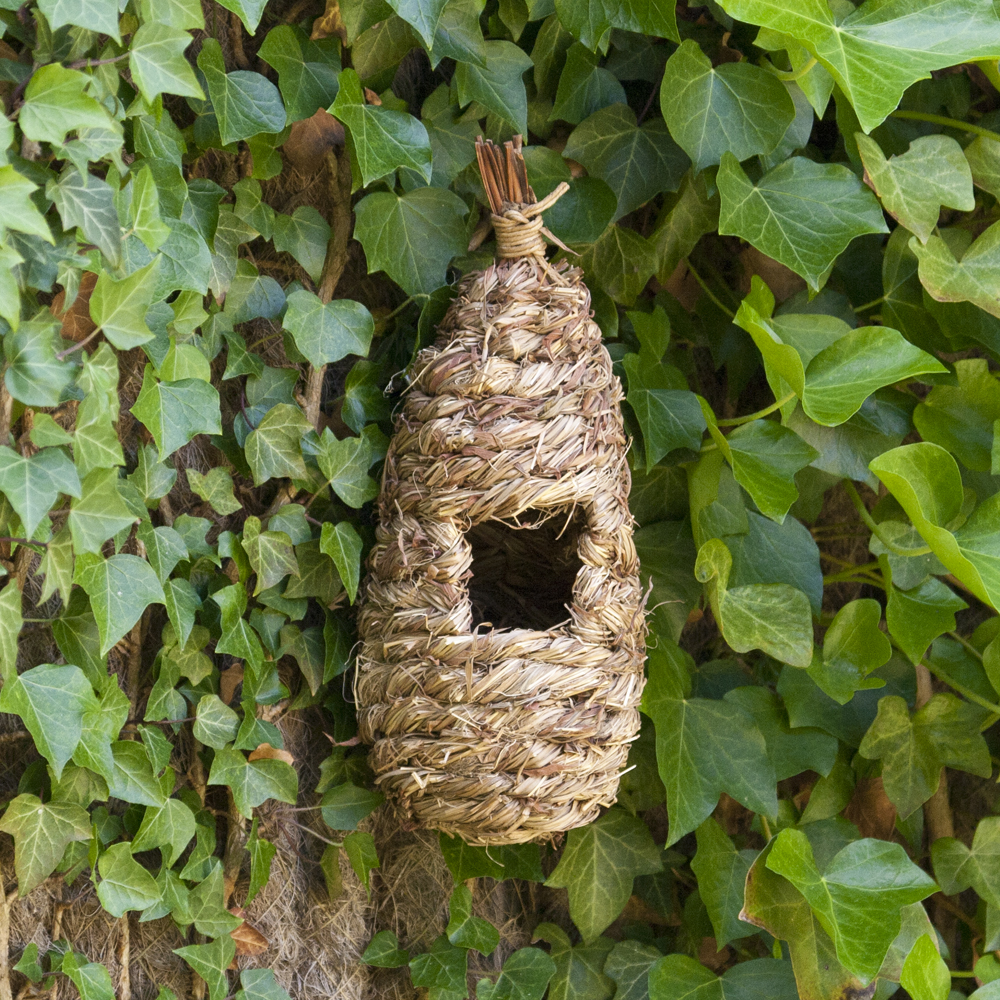 Bird Lounge Roosting Nest