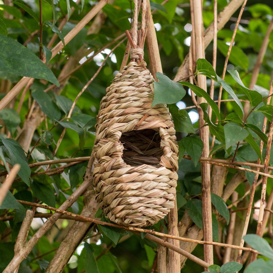 Bird Lounge Roosting Nest