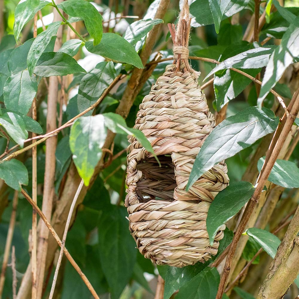 Bird Lounge Roosting Nest