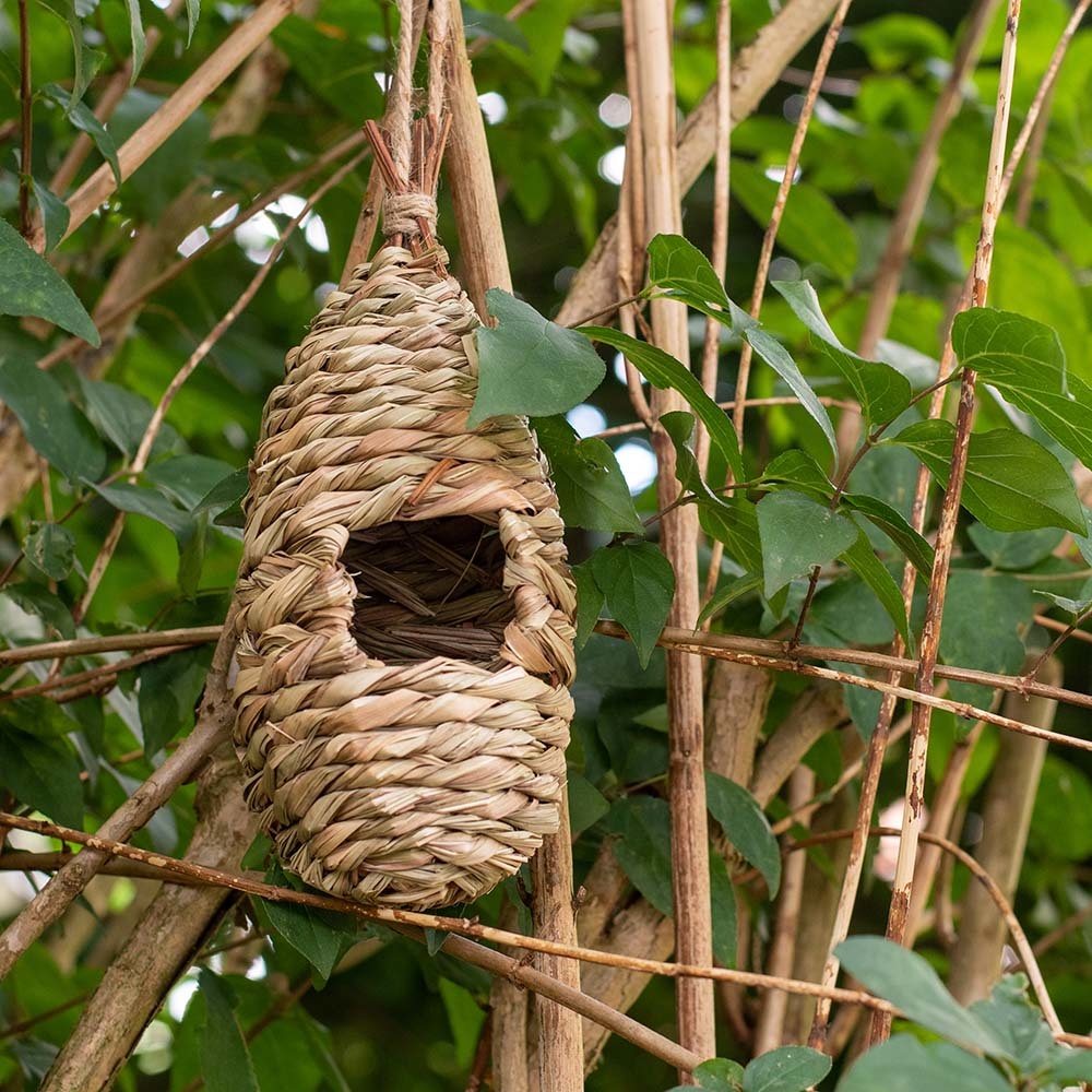 Bird Lounge Roosting Nest