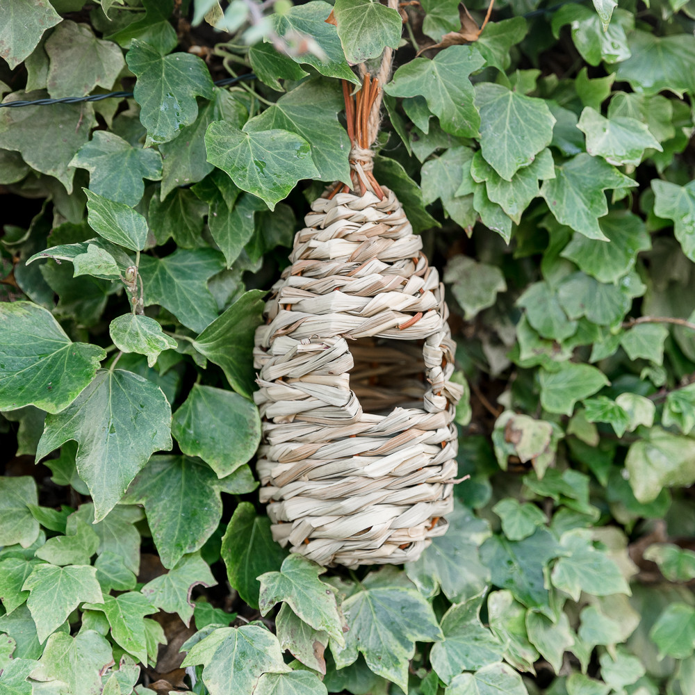 Bird Lounge Roosting Nest