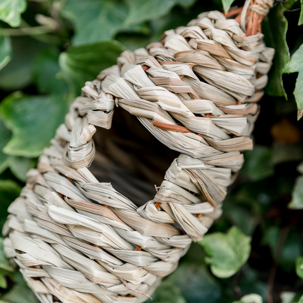 Bird Lounge Roosting Nest