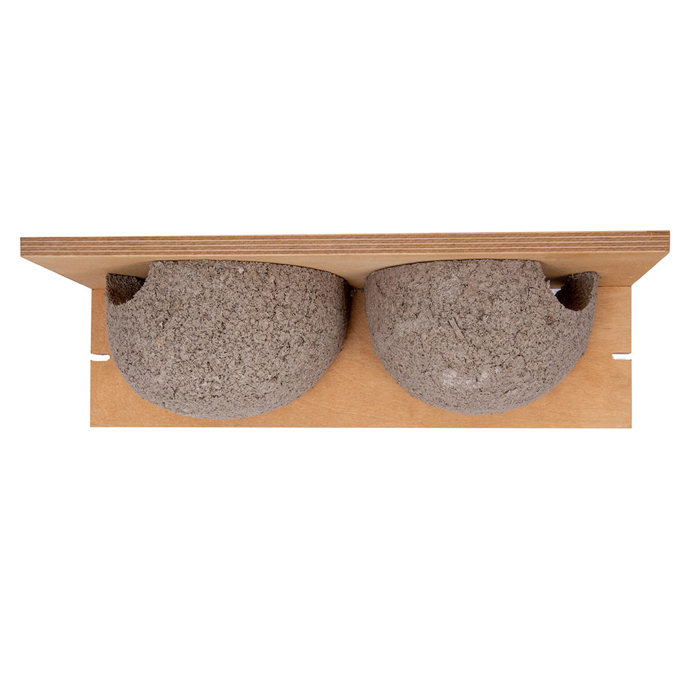 House Martin Double Nesting Cups Plywood