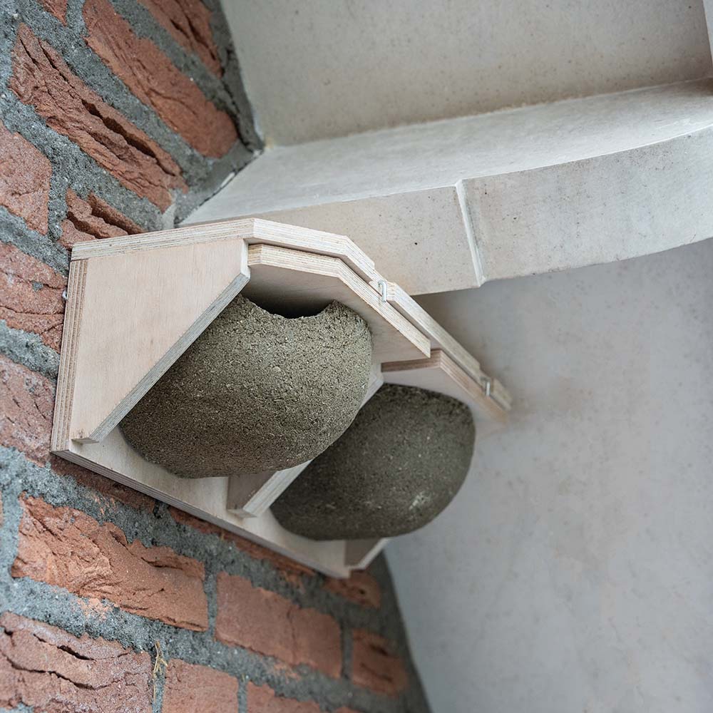 Slide-out House Martin Double Nesting Cups