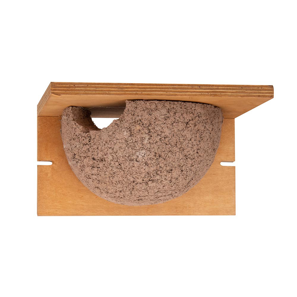 House Martin Nesting Cup Plywood (Left)