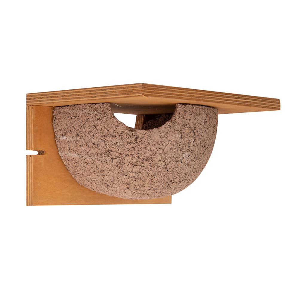 House Martin Nesting Cup Plywood (Left)