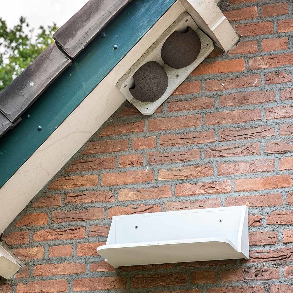 Dropping Board for Swallow and House Martin Nests