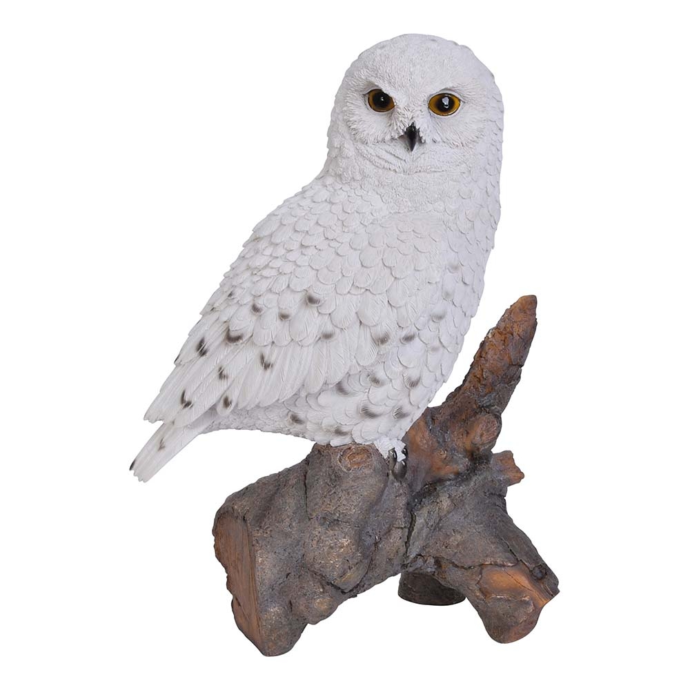 Harfang des neiges sur souche (Polystone)