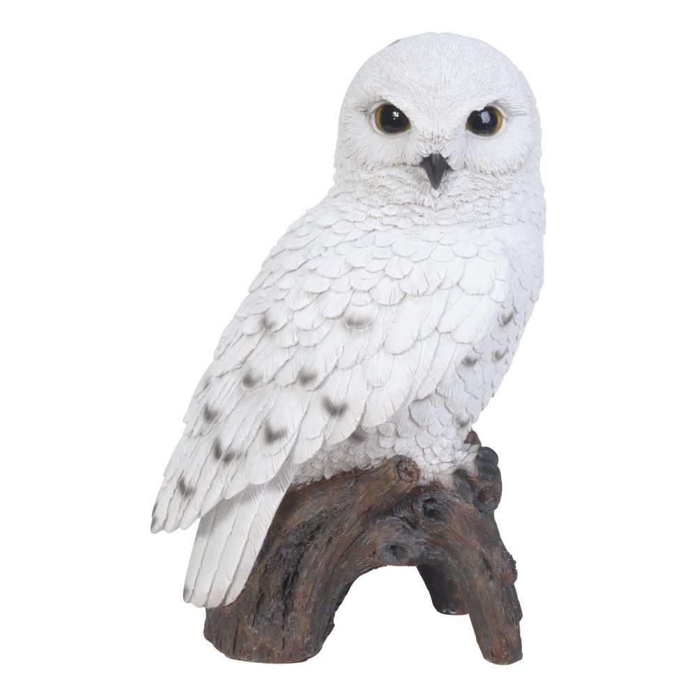 Grand harfang des neiges (Polystone)