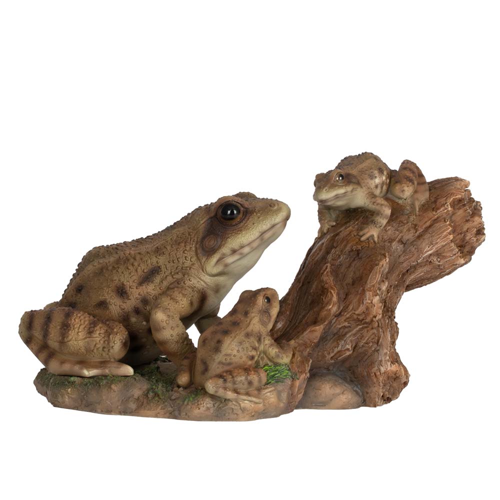 Grenouilles joueuses sur souche (Polystone)