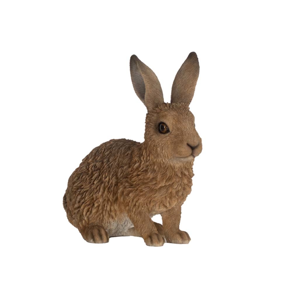 Lille hare siddende