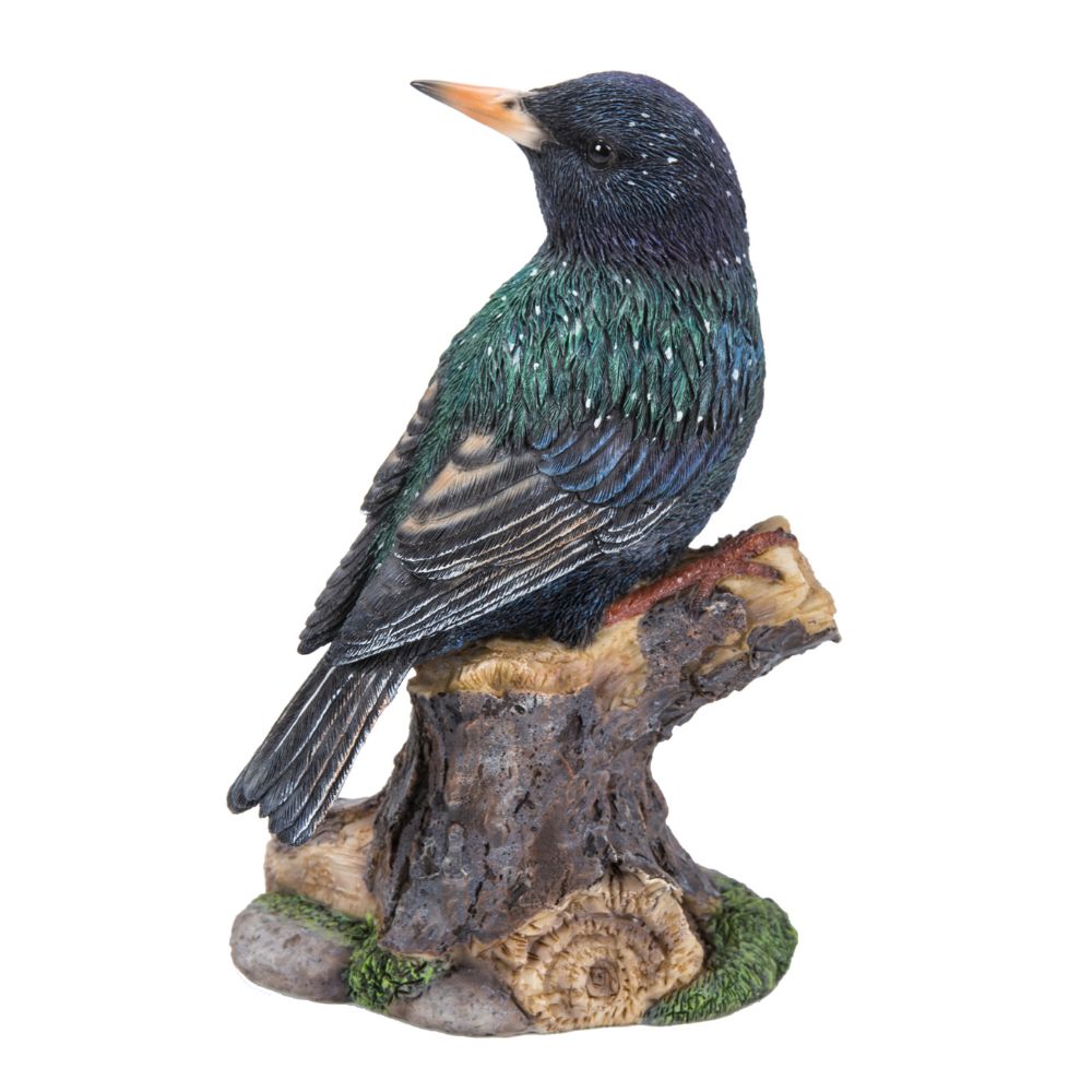 Étourneau (Polystone)