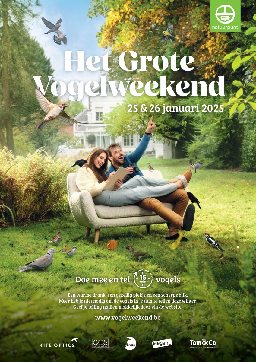 Natuurpunt Het Grote Vogelweekend flyer 2025