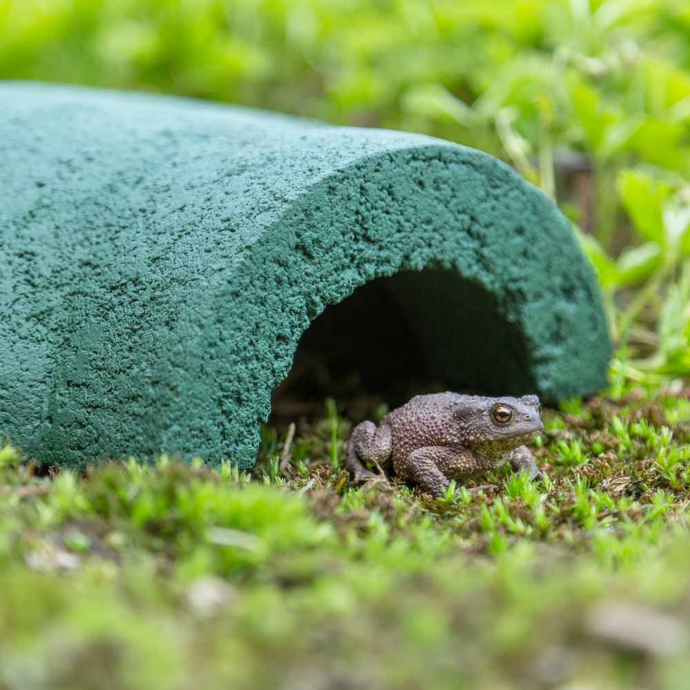 Frog & Toad House - Green