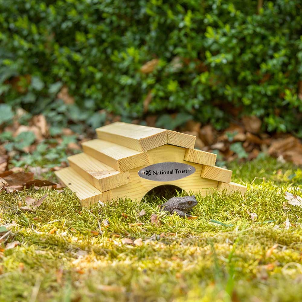 National Trust Frog & Toad house