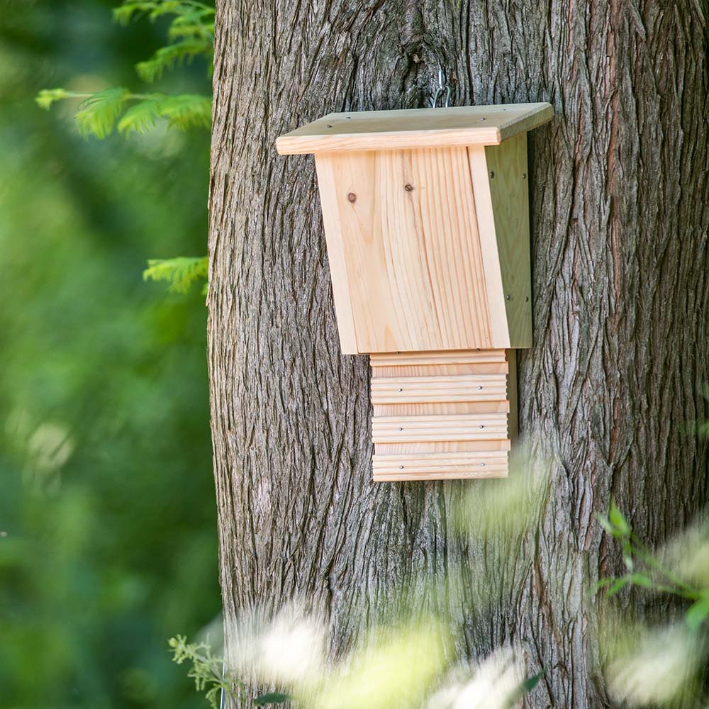 Bausatz Fledermauskasten „Igor”