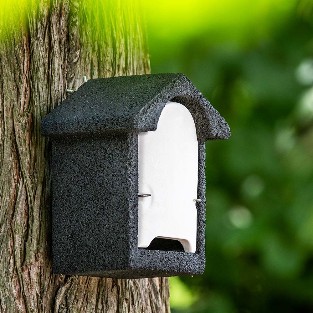 WoodStone® Harlech Bat Box