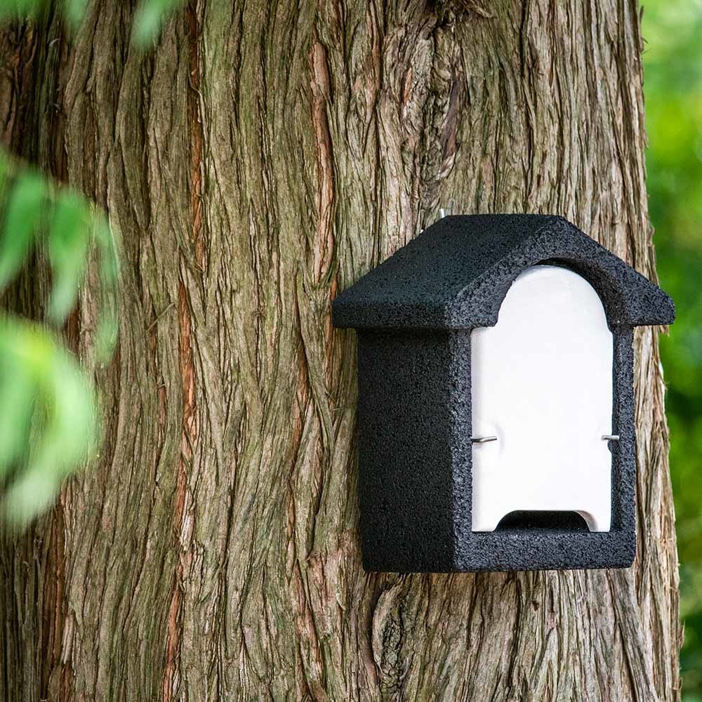 WoodStone® Harlech Bat Box