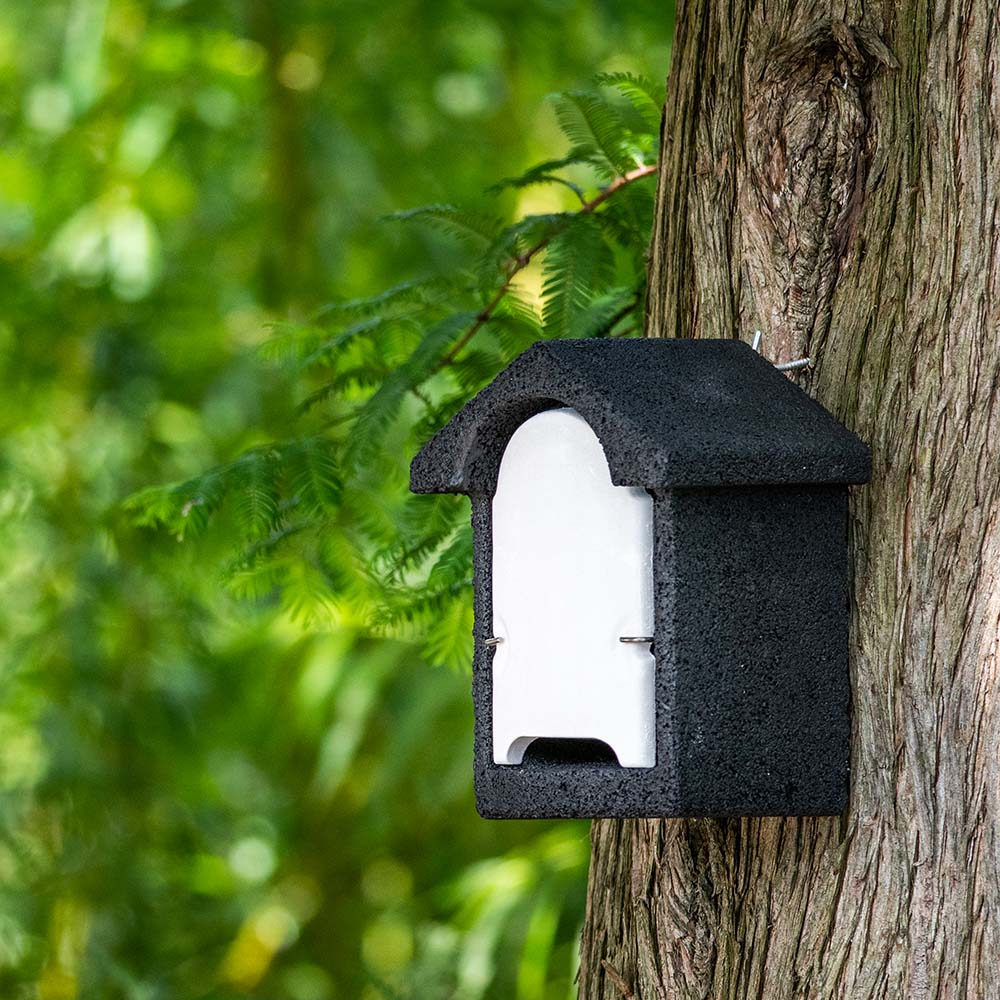 WoodStone® Harlech Bat Box