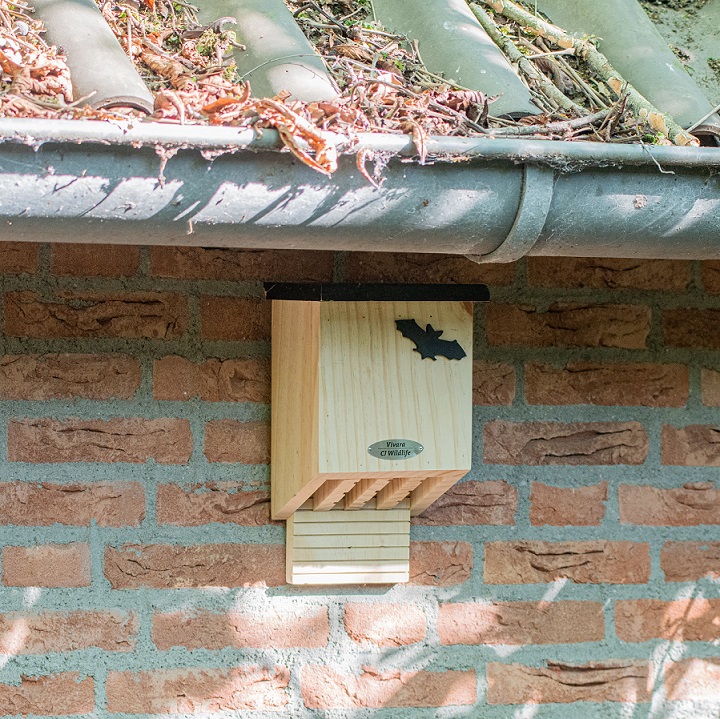 Falkenstein Bat Box