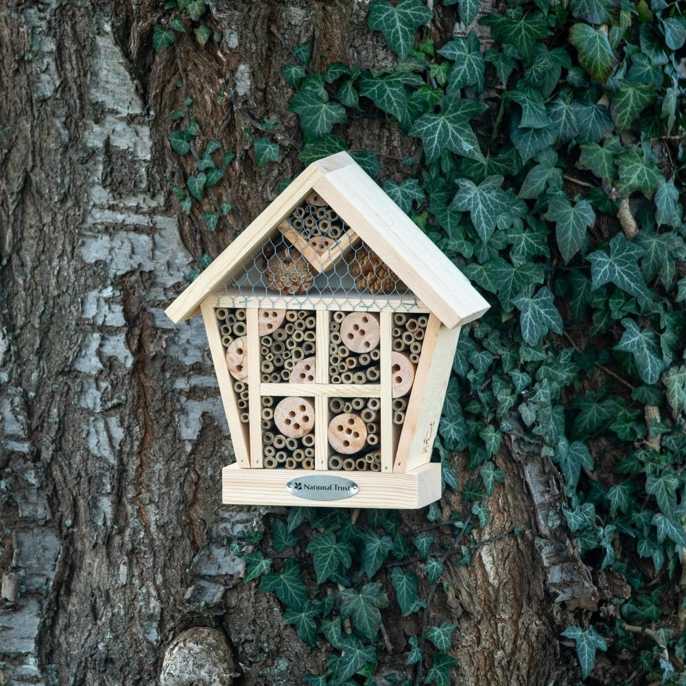 National Trust Apex Bee & Insect House