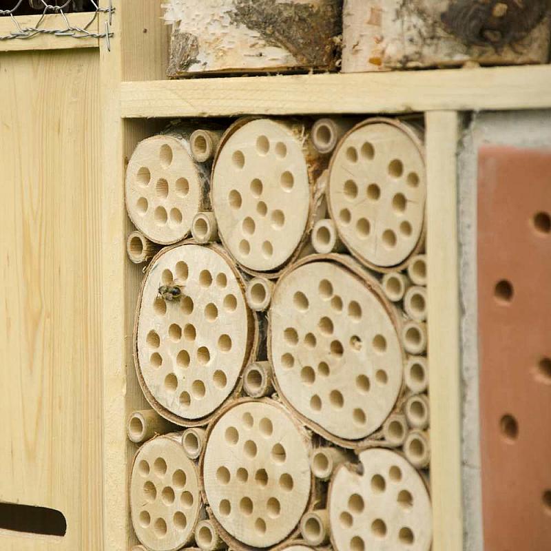 Corsica Extra Large Bee & Insect Hotel