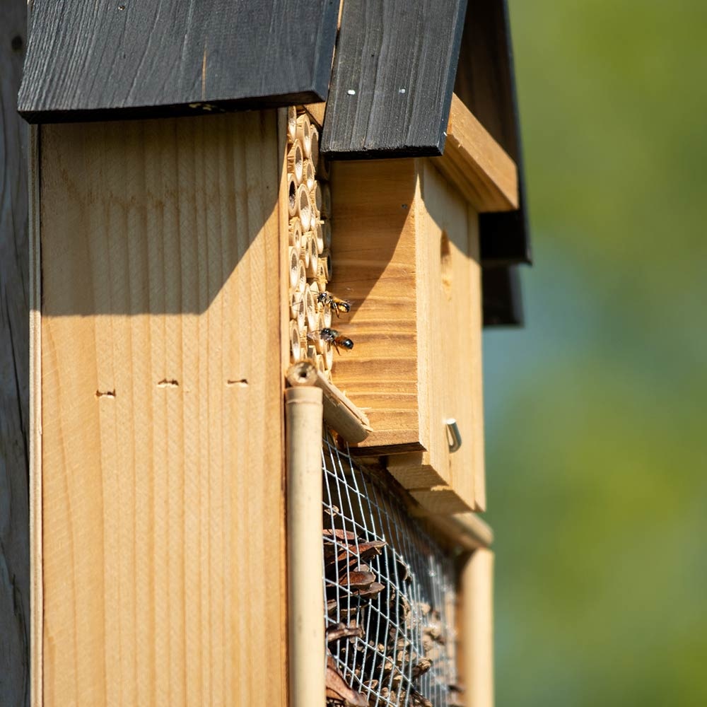 Majorca Bee & Insect Hotel