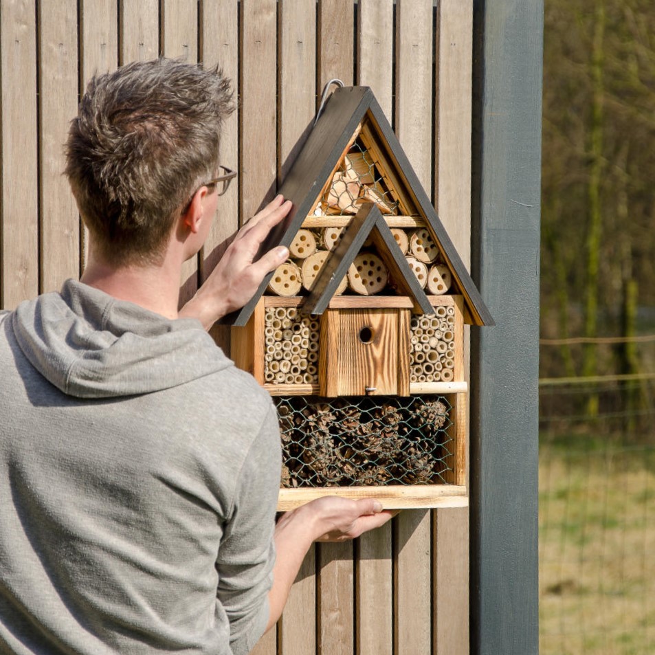 Majorca Bee & Insect Hotel