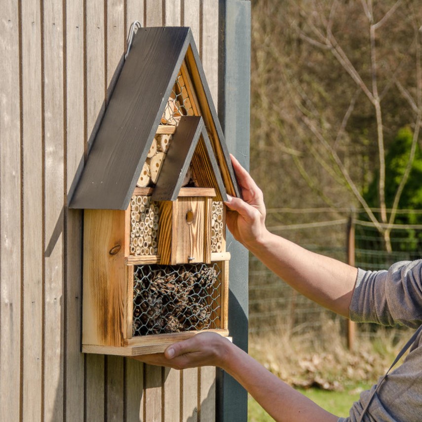 Majorca Bee & Insect Hotel