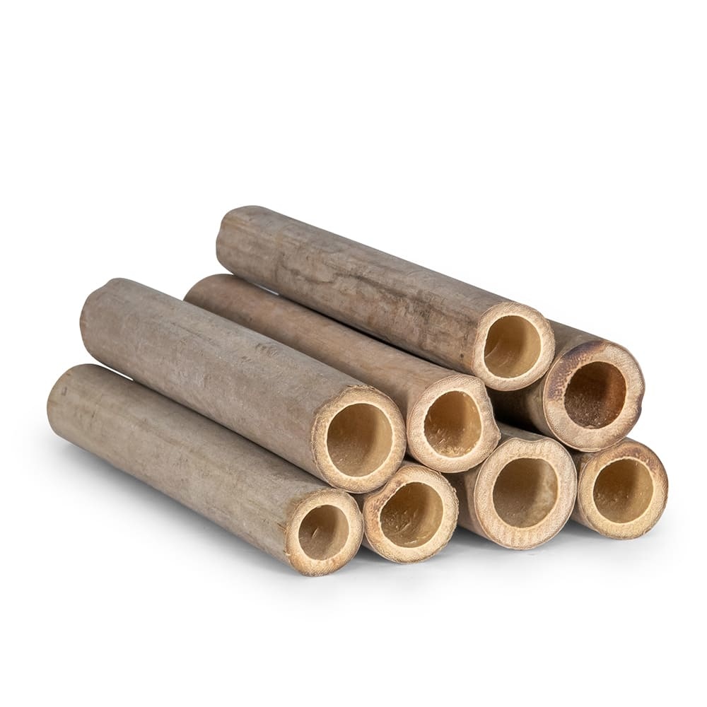 Tubes de recharge 90mm pour les hôtels à insectes Matias, Isabela, Culebra