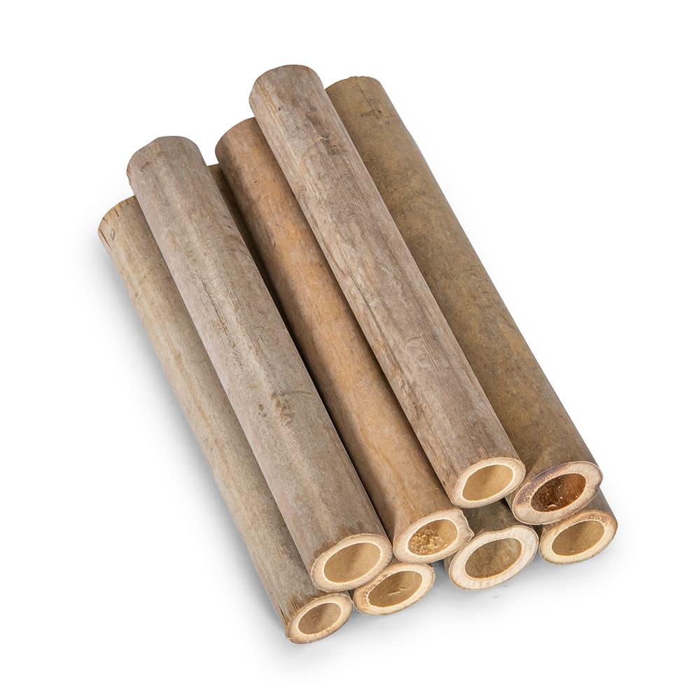 Tubes de recharge 90mm pour les hôtels à insectes Matias, Isabela, Culebra