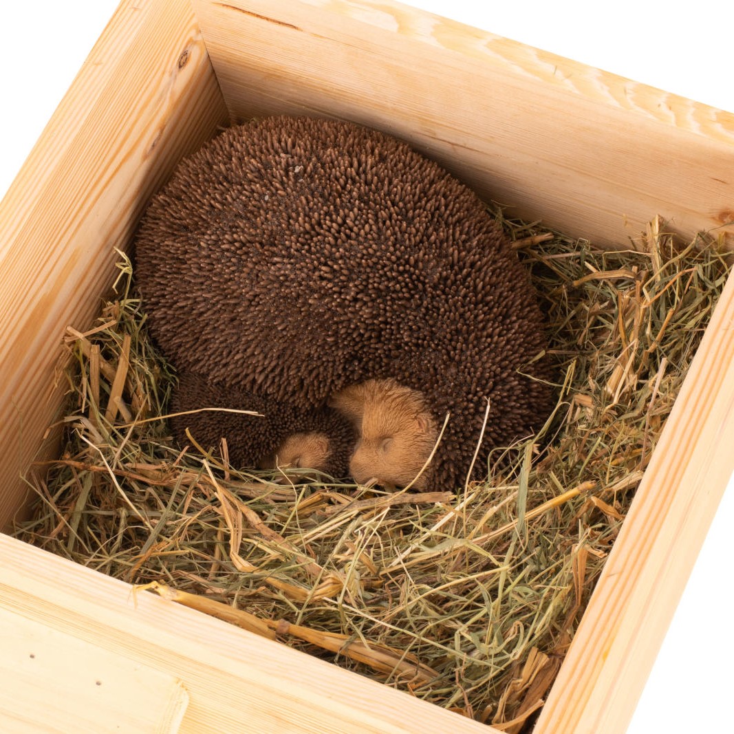 Hedgehog bedding 500g