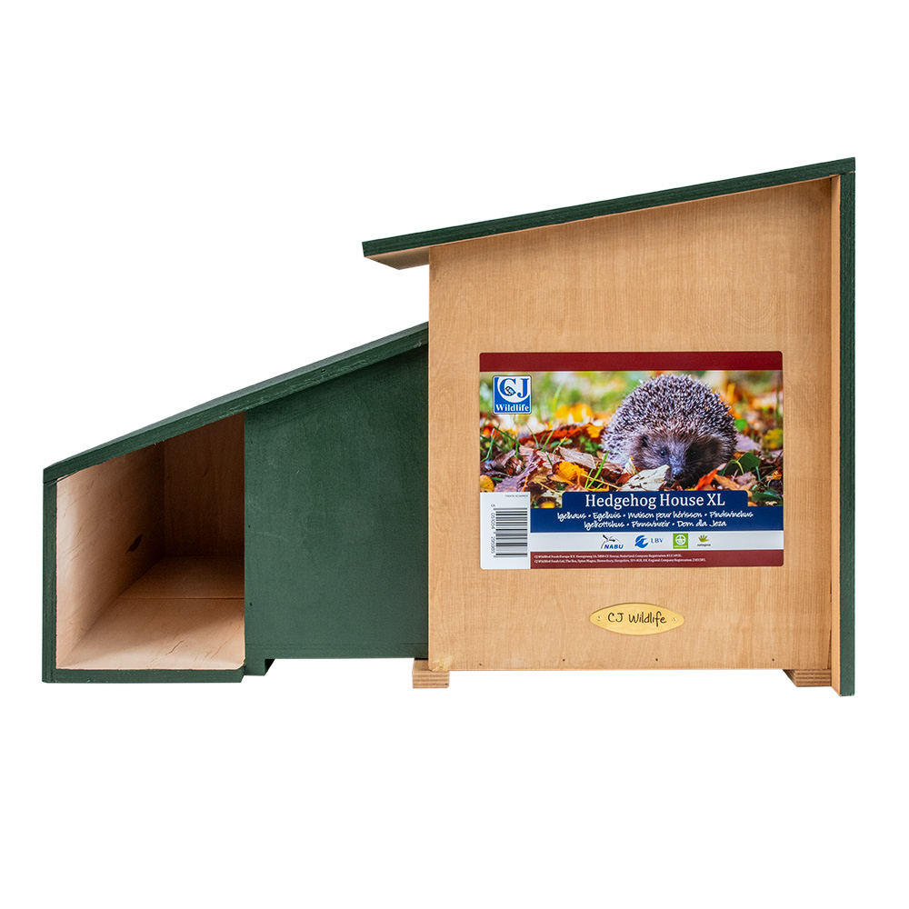 Hedgehog House XL