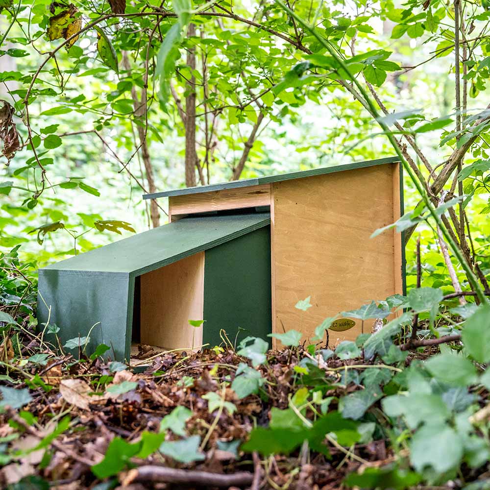 Hedgehog House XL