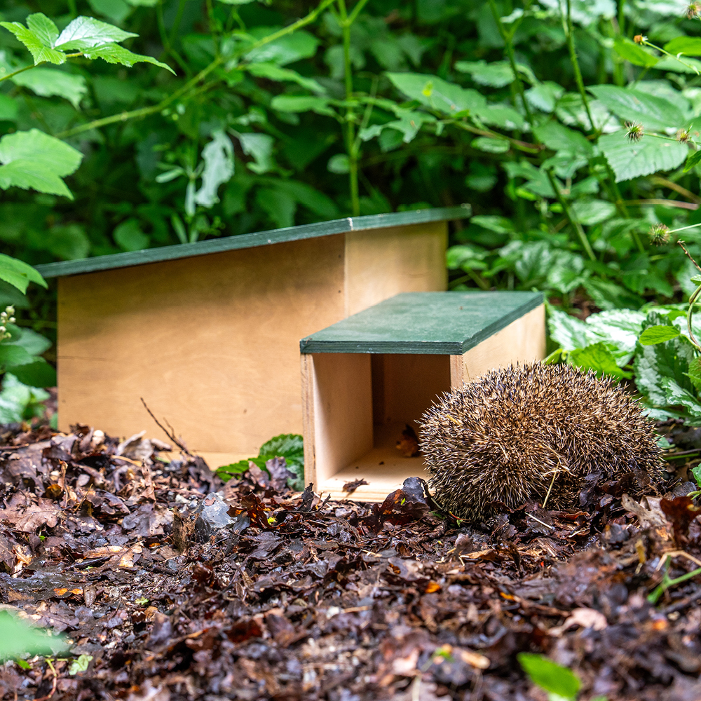  Hedgehog Shelter