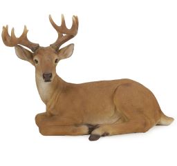 Hirsch blickt nach links (Polystone)
