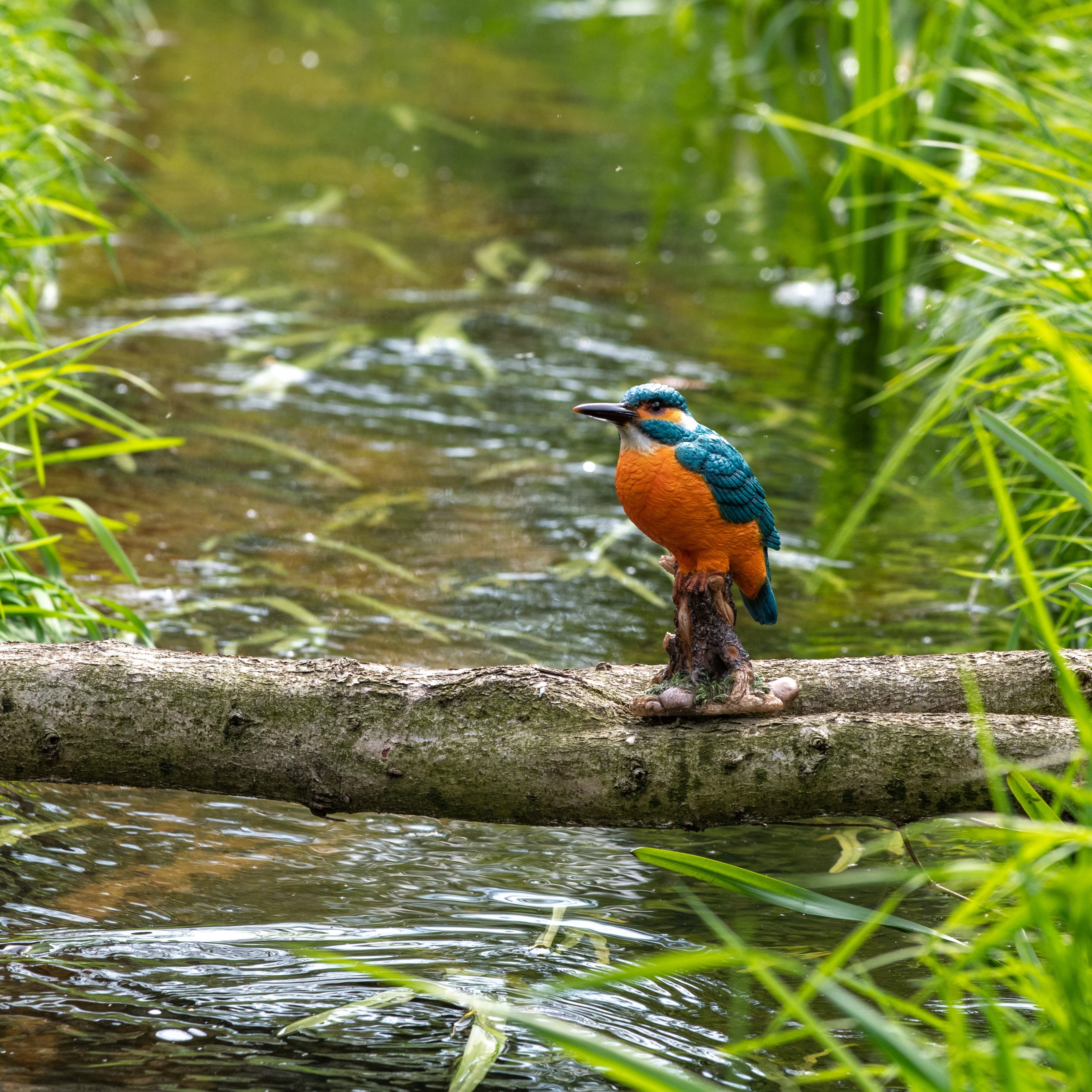 IJsvogel op boomstronk (Polystone)
