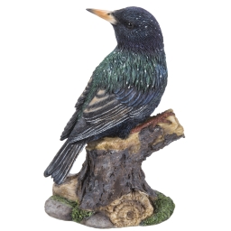 Spreeuw met geluid (Polystone)