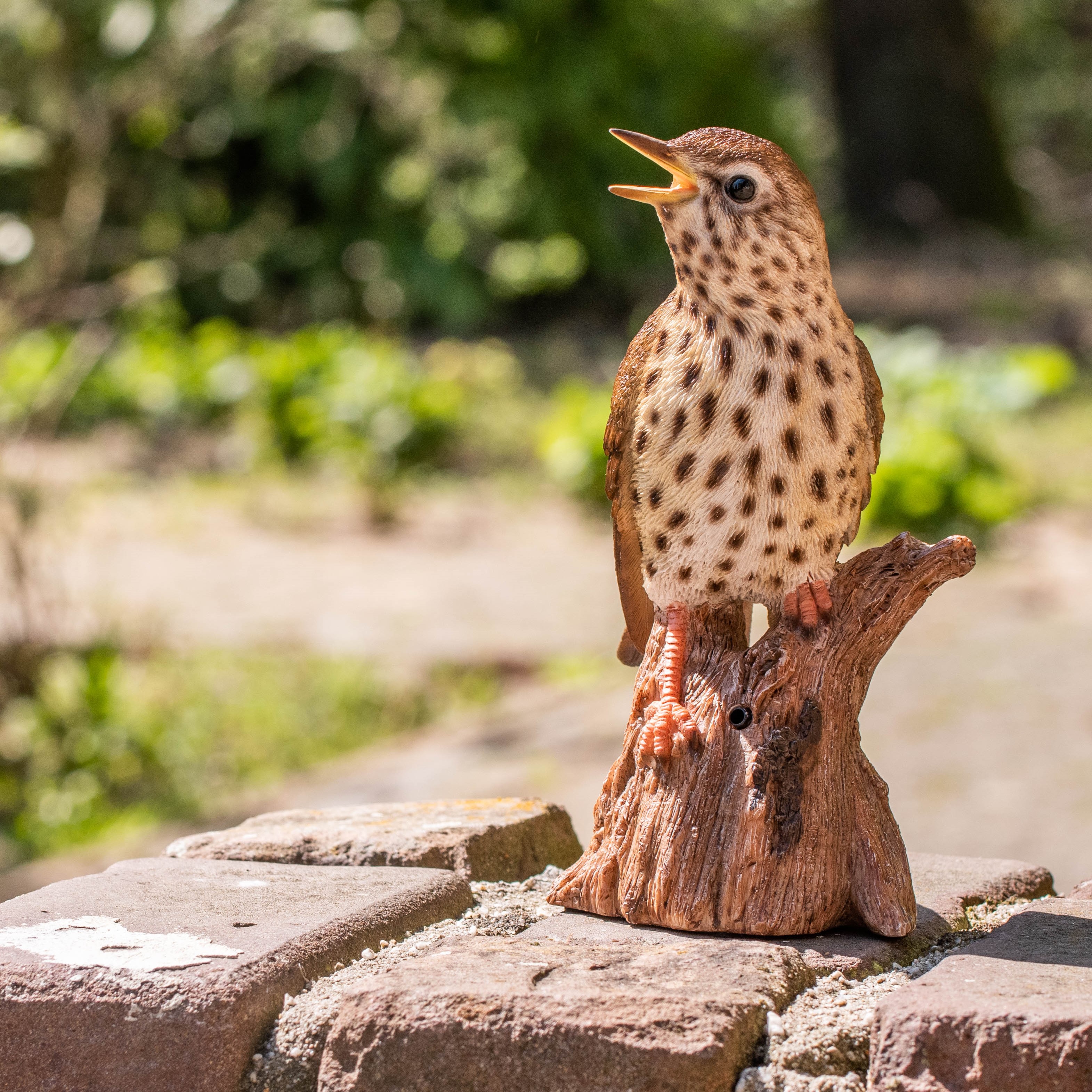 Zanglijster met geluid (Polystone)