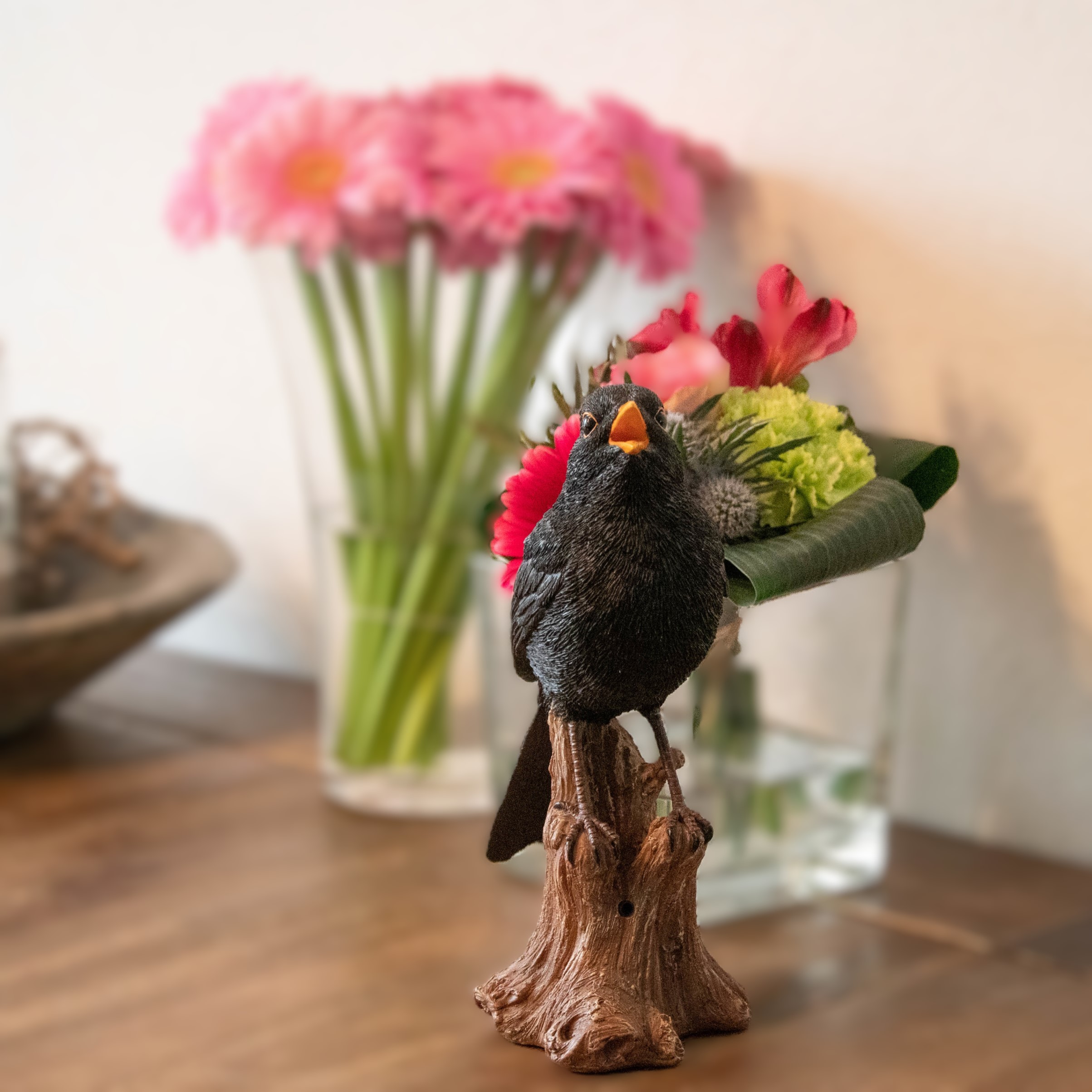 Amsel mit Ton (Polystone)