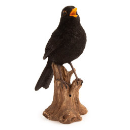 Amsel mit Ton (Polystone)