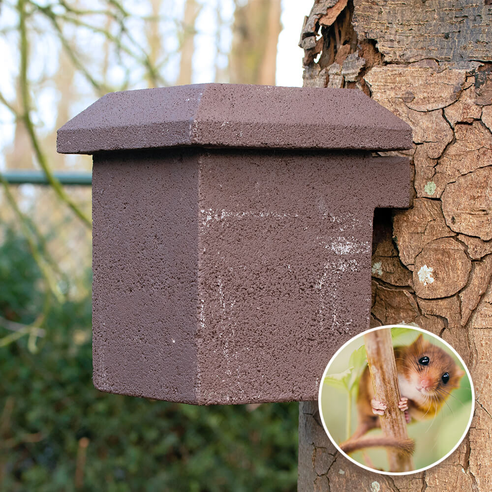 WoodStone® Garden Dormouse Nest Box