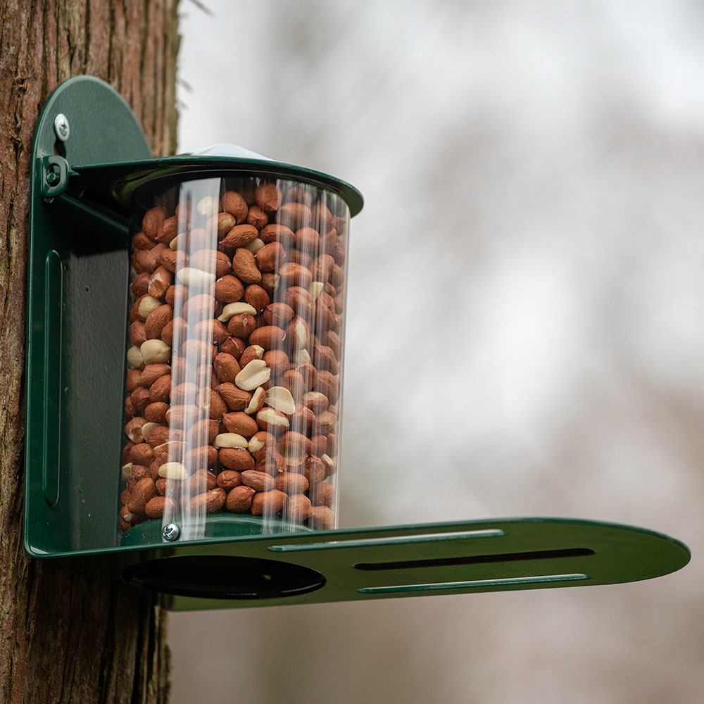 Metal Squirrel Feeder - Green