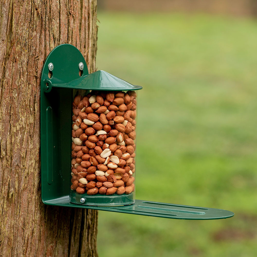 Metal Squirrel Feeder - Green