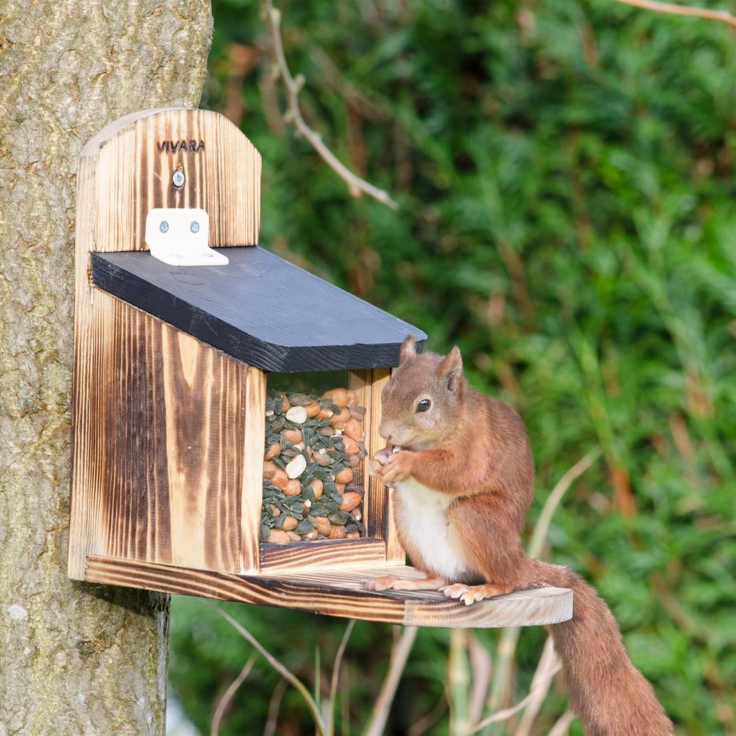 Victoria Squirrel Feeder