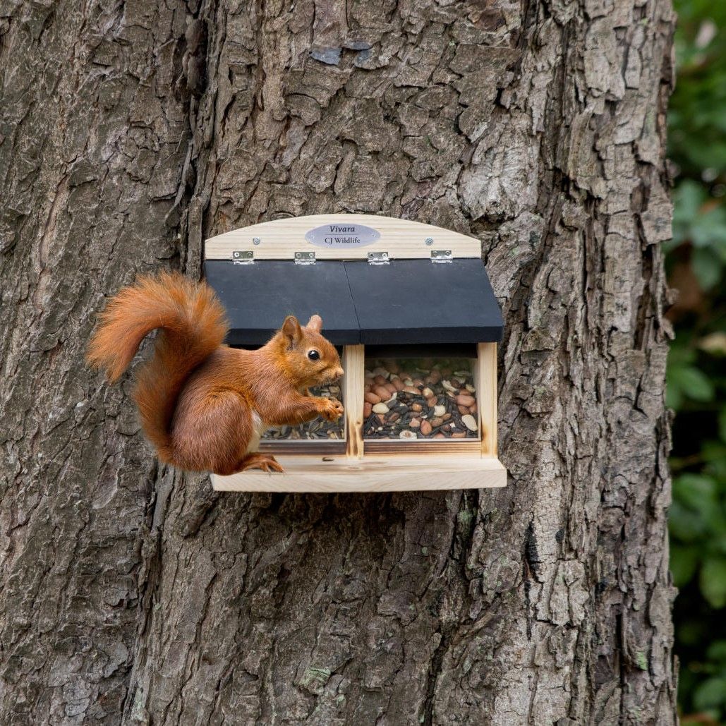 Doppelter Eichhörnchen-Futterautomat „Galiano“