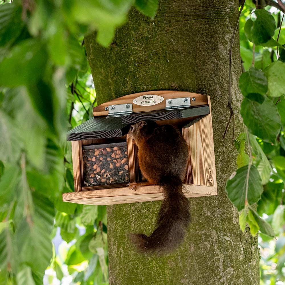 Doppelter Eichhörnchen-Futterautomat „Galiano“