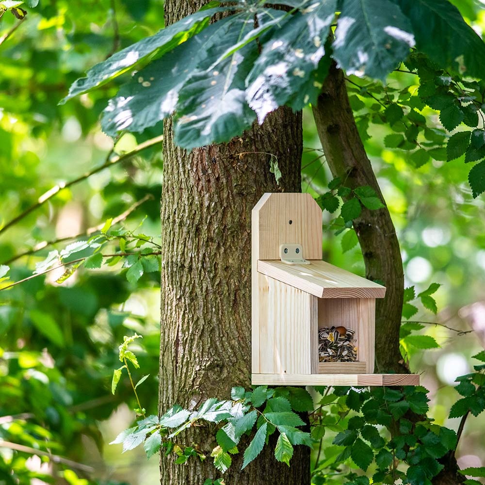 Bausatz Eichhörnchen-Futterautomat „Sanjo”