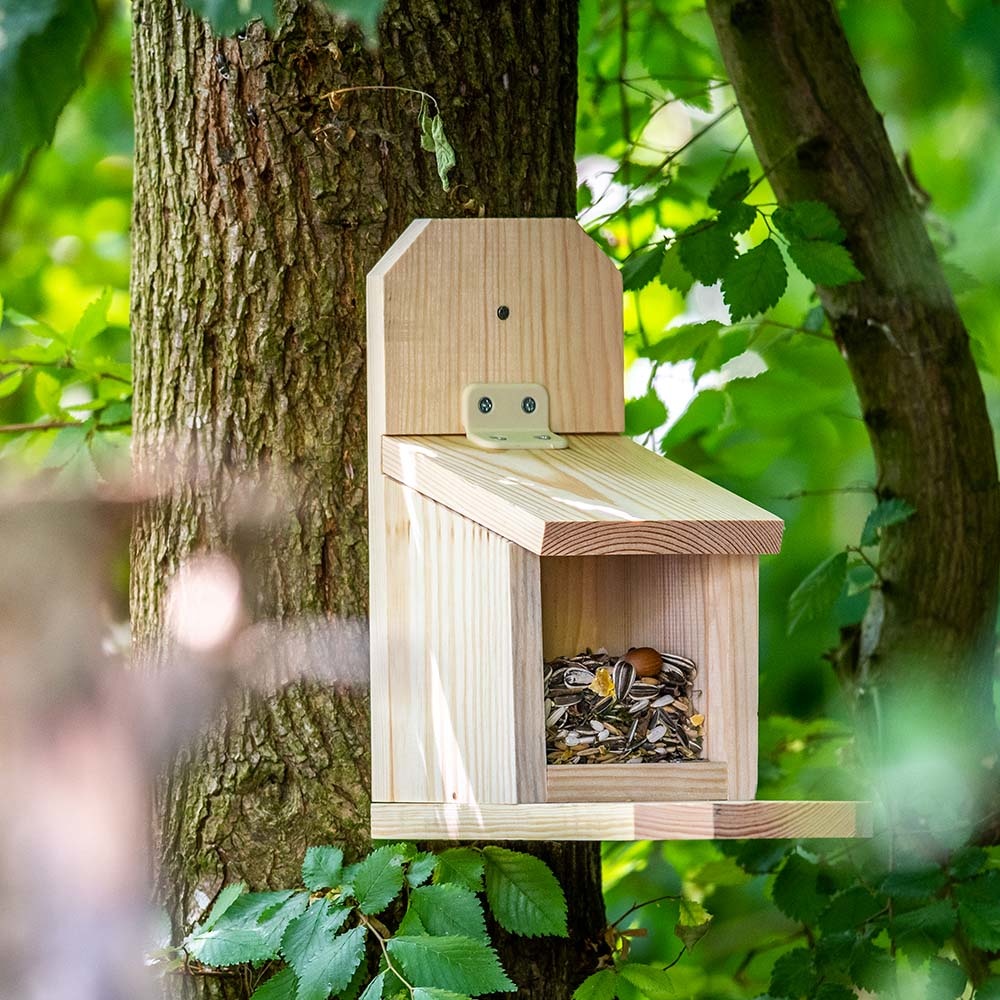 Bausatz Eichhörnchen-Futterautomat „Sanjo”